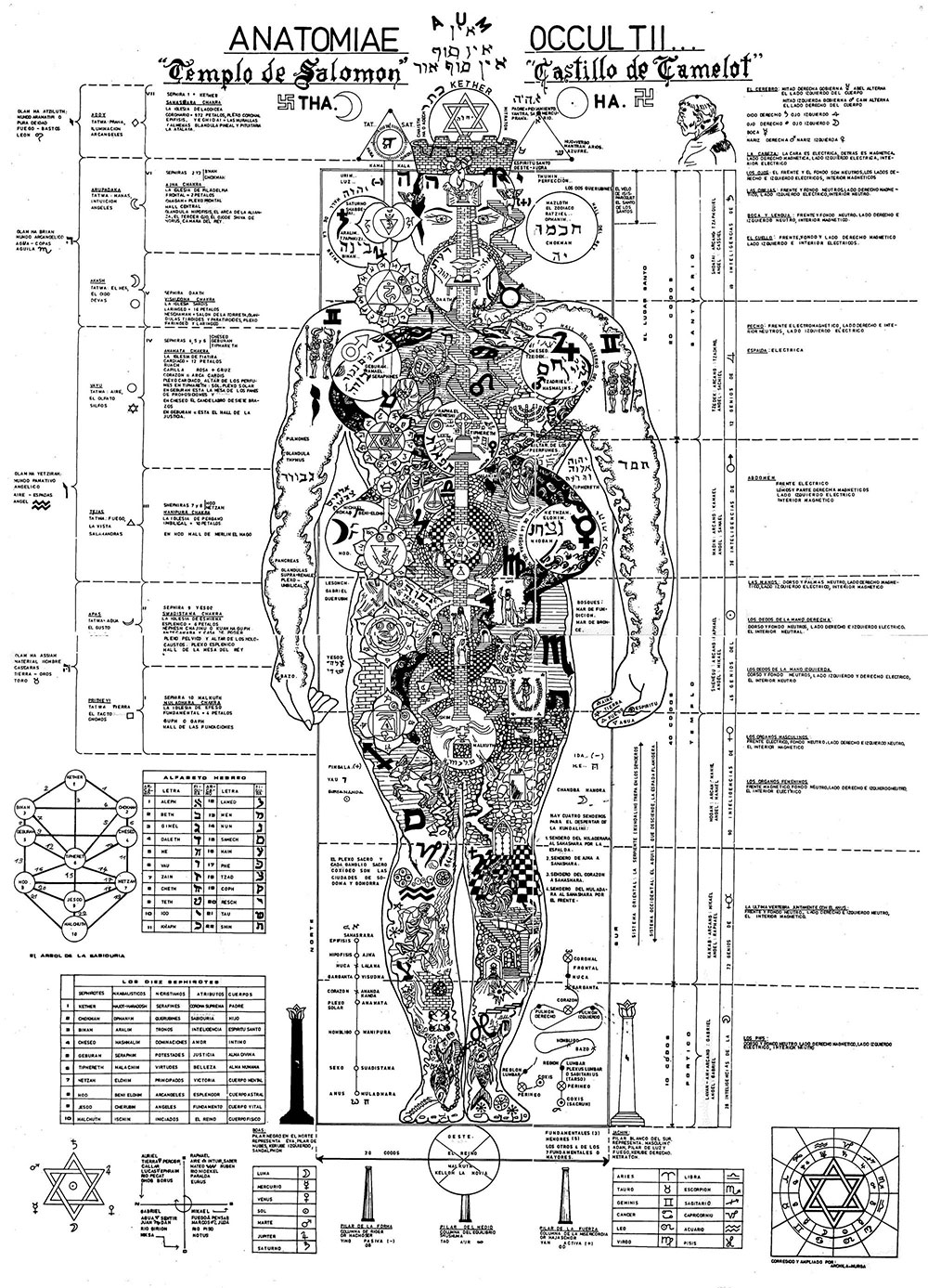 anatomiae-occultii.jpg anatomiae-occultii.jpg
