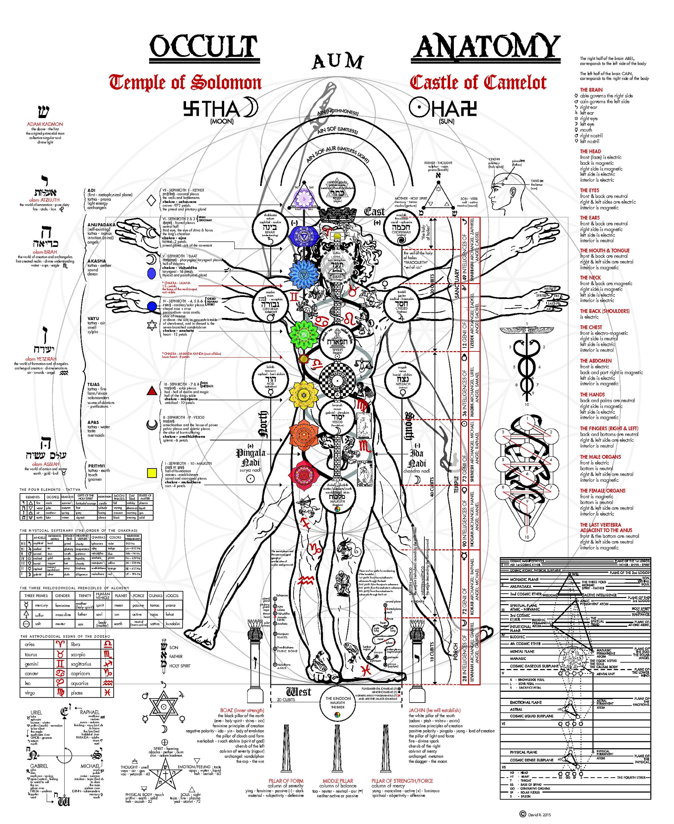 occult-anatomy-big.jpg occult-anatomy-big.jpg